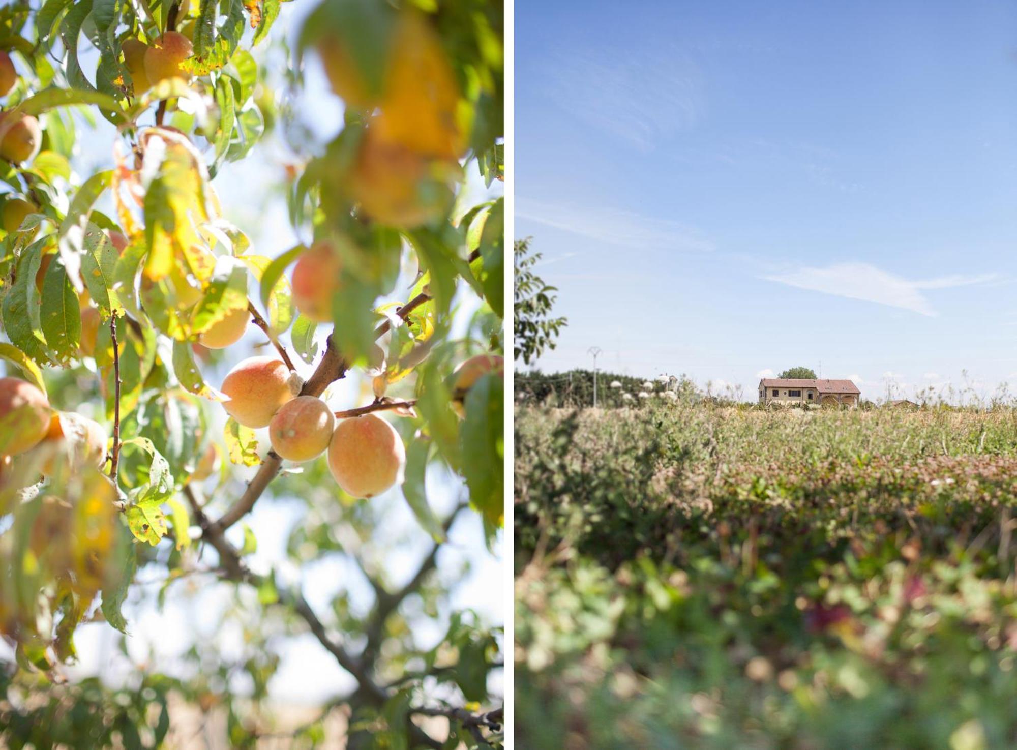 Agriturismo Il Mondo Konuk evi Parma Dış mekan fotoğraf