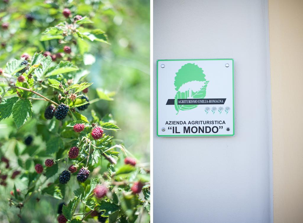 Agriturismo Il Mondo Konuk evi Parma Dış mekan fotoğraf