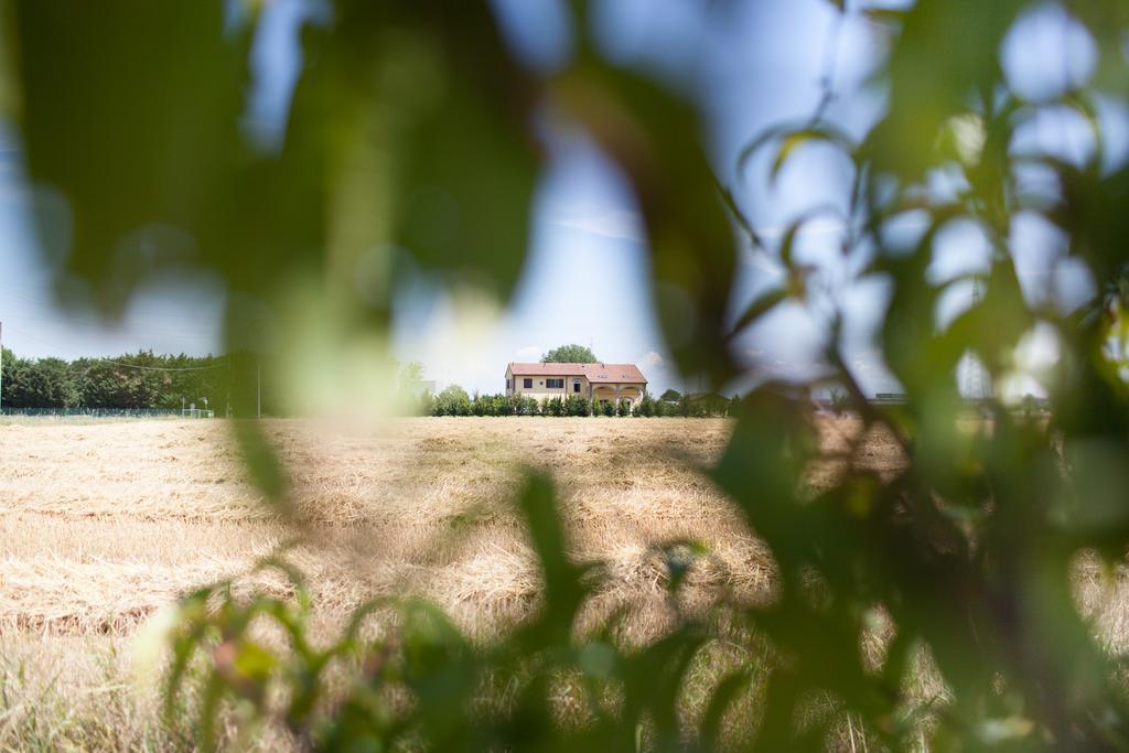Agriturismo Il Mondo Konuk evi Parma Dış mekan fotoğraf